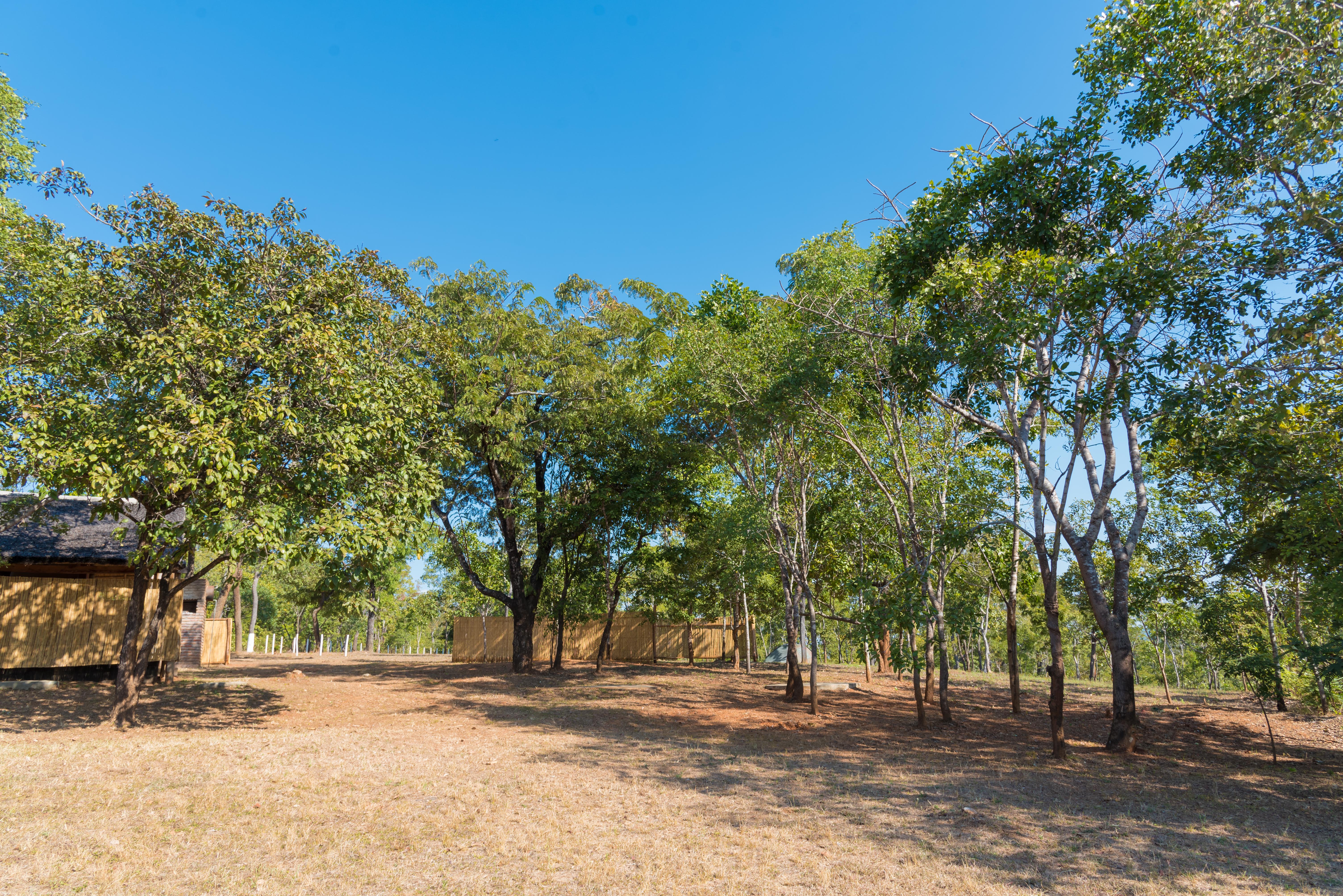Open space for camping